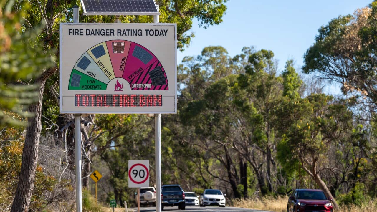 Weekend weather warnings: damaging winds, risk of catastrophic fires and thunderstorms