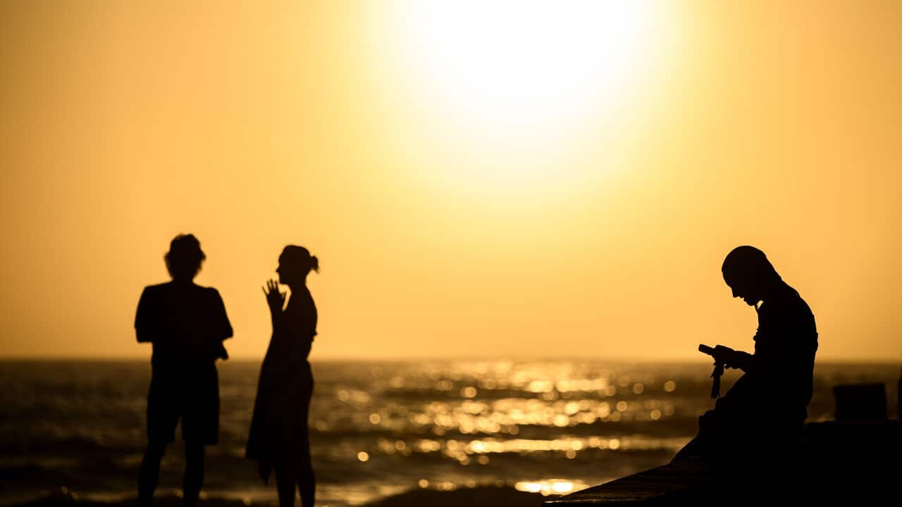 Record heatwaves, blackout concerns: what to know if you live in NSW