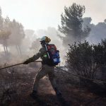 Surrounded by burnt trees, a firefighter holds a fire hose.